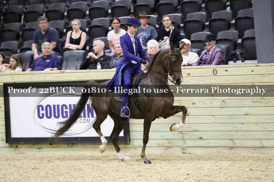Proof 22BUCK_01810