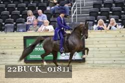 22BUCK_01811 proof