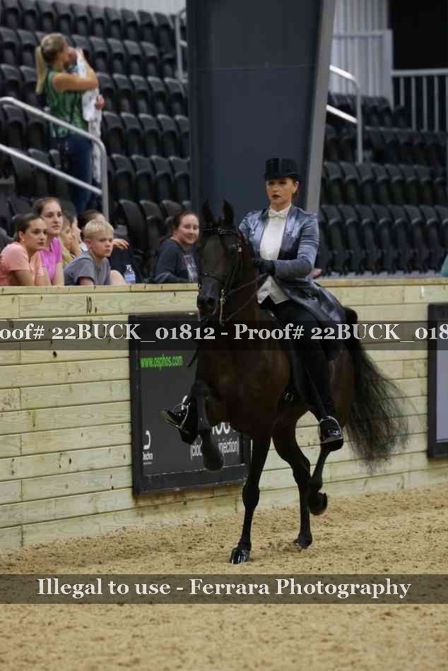 Proof 22BUCK_01812