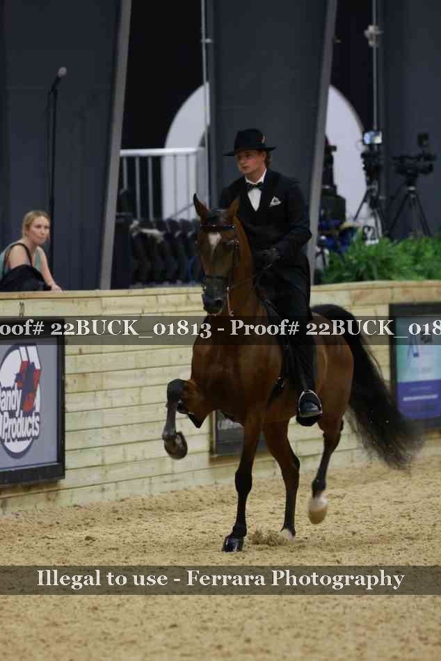 Proof 22BUCK_01813