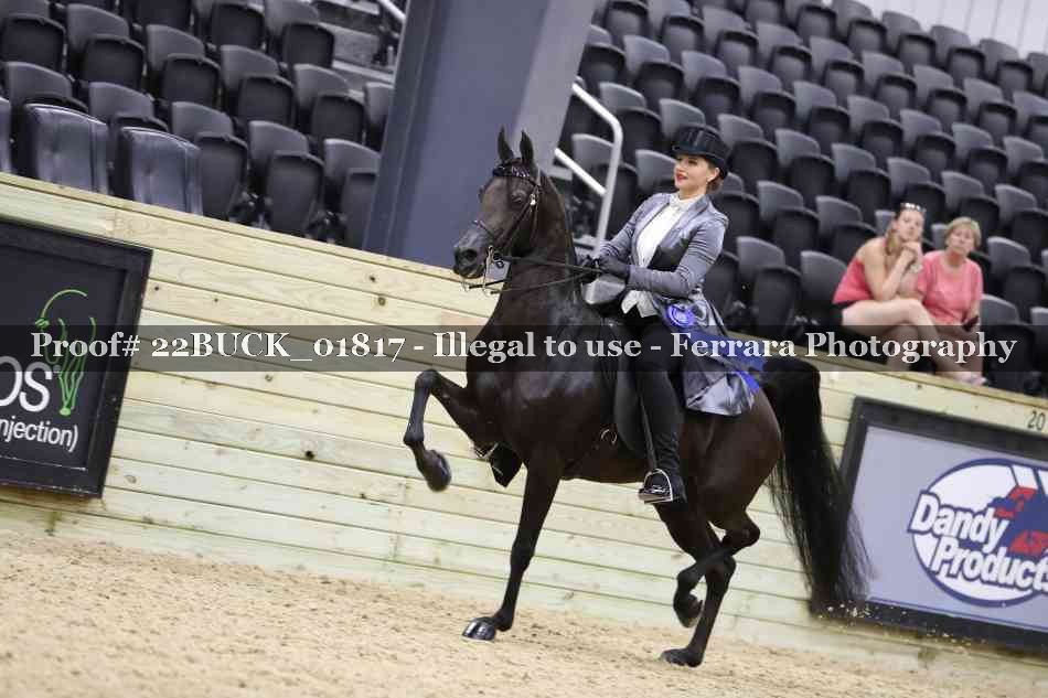Proof 22BUCK_01817