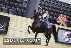 22BUCK_01817 proof