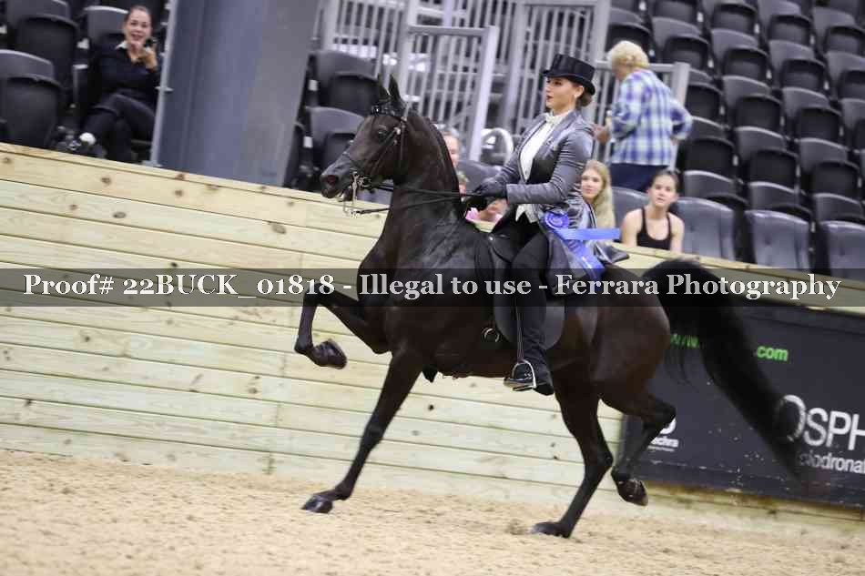 Proof 22BUCK_01818