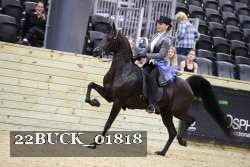 22BUCK_01818 proof