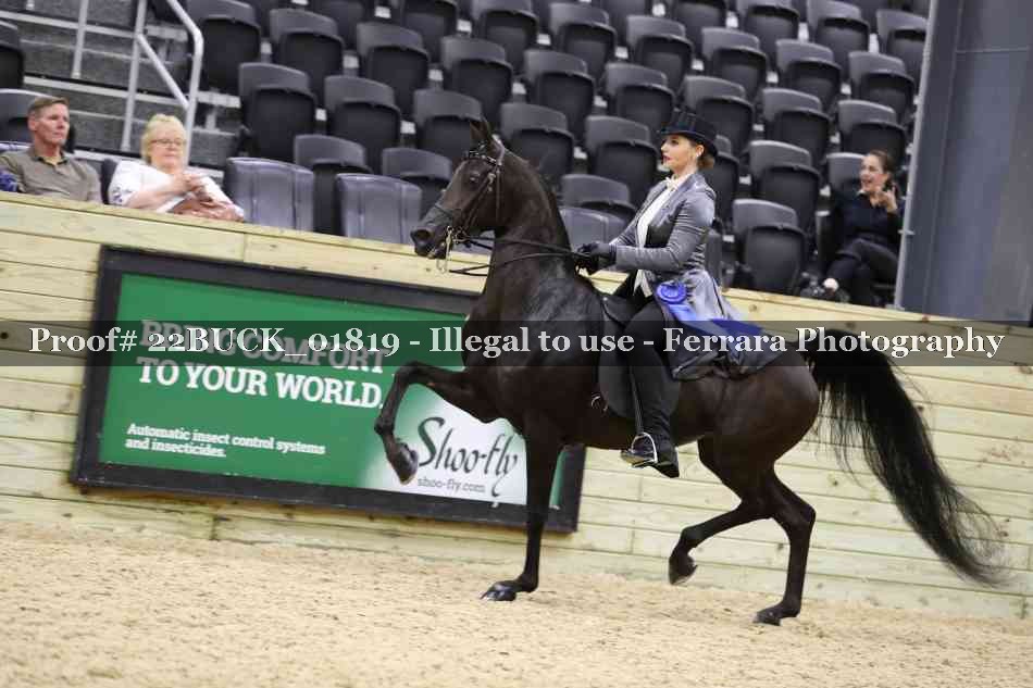 Proof 22BUCK_01819