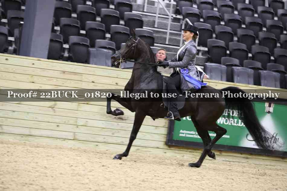 Proof 22BUCK_01820