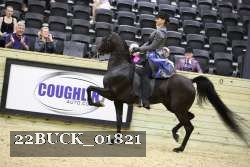22BUCK_01821 proof