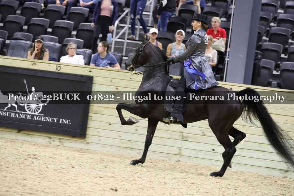 Proof 22BUCK_01822
