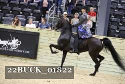 22BUCK_01822 proof