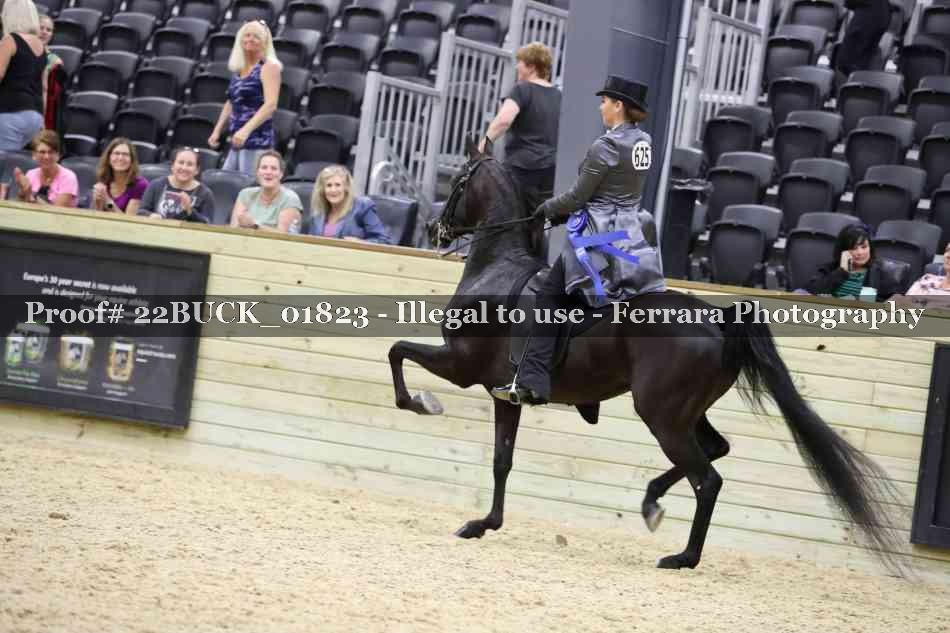 Proof 22BUCK_01823