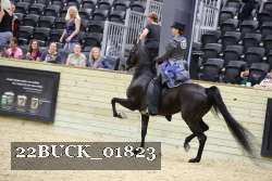22BUCK_01823 proof