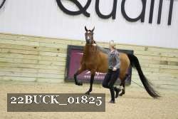 22BUCK_01825 proof