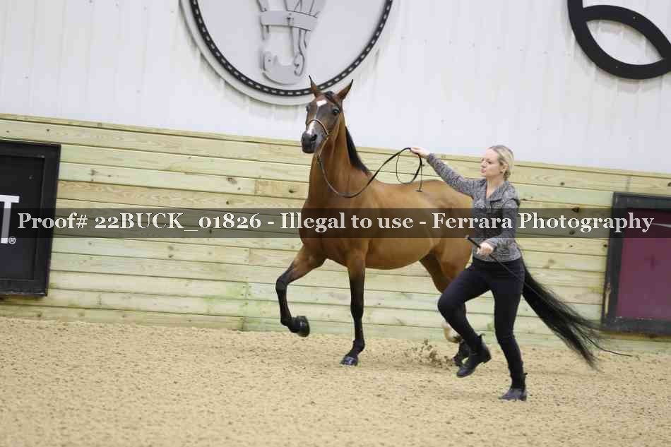 Proof 22BUCK_01826
