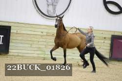 22BUCK_01826 proof
