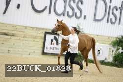 22BUCK_01828 proof