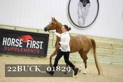 22BUCK_01829 proof