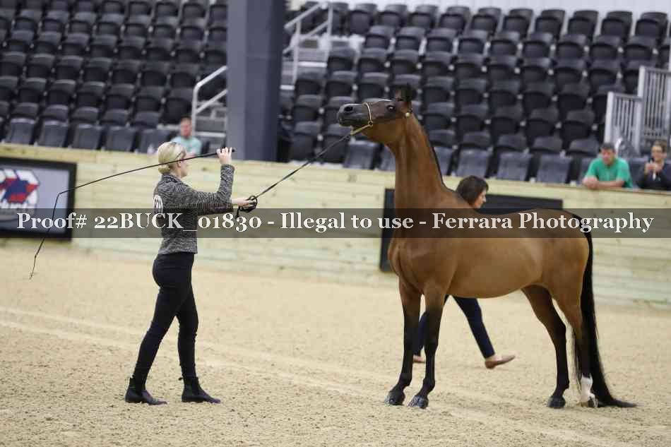 Proof 22BUCK_01830
