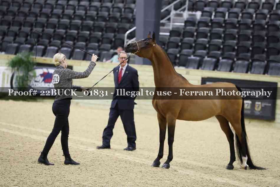 Proof 22BUCK_01831