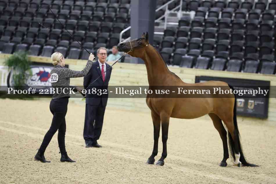 Proof 22BUCK_01832