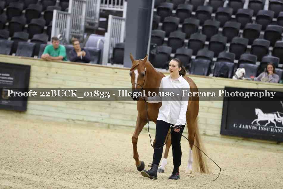 Proof 22BUCK_01833