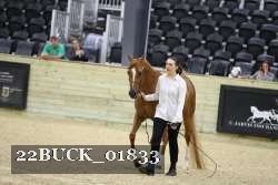 22BUCK_01833 proof