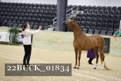 22BUCK_01834 proof