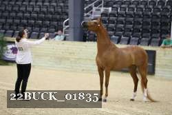 22BUCK_01835 proof
