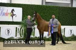 22BUCK_01838 proof