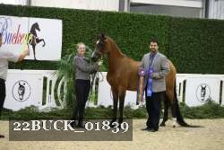 22BUCK_01839 proof