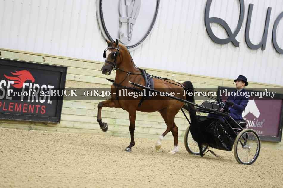 Proof 22BUCK_01840