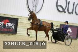 22BUCK_01840 proof