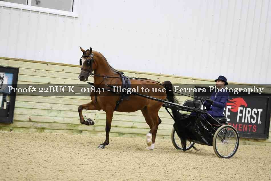 Proof 22BUCK_01841