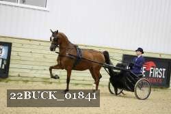 22BUCK_01841 proof