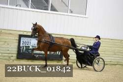 22BUCK_01842 proof