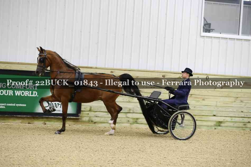 Proof 22BUCK_01843