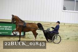22BUCK_01843 proof