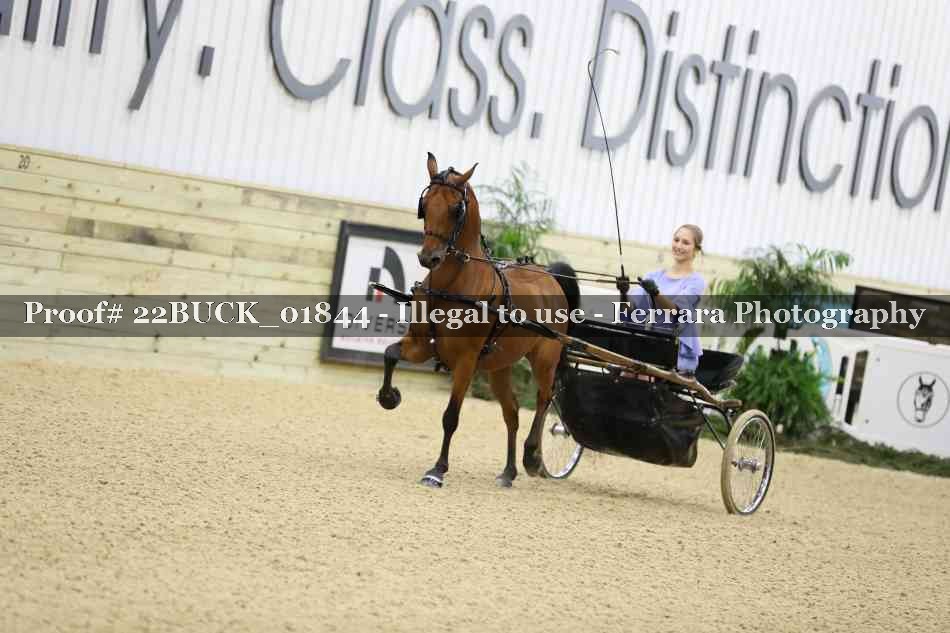 Proof 22BUCK_01844