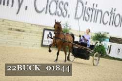 22BUCK_01844 proof