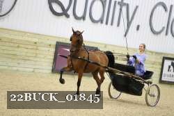 22BUCK_01845 proof