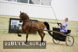 22BUCK_01846 proof