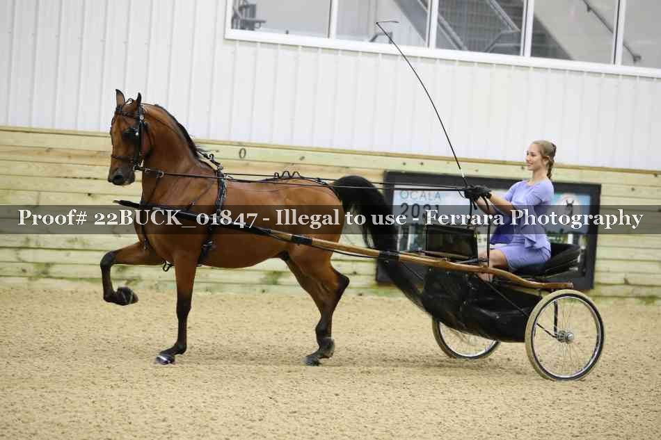 Proof 22BUCK_01847