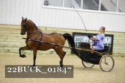 22BUCK_01847 proof
