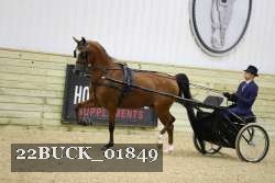 22BUCK_01849 proof
