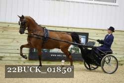 22BUCK_01850 proof