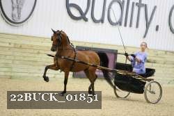 22BUCK_01851 proof