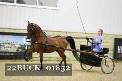 22BUCK_01852 proof