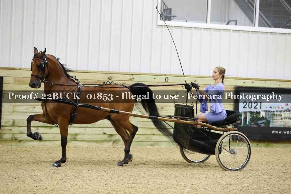 Proof 22BUCK_01853