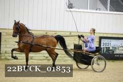 22BUCK_01853 proof