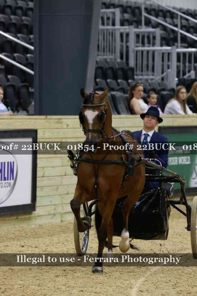 Proof 22BUCK_01854