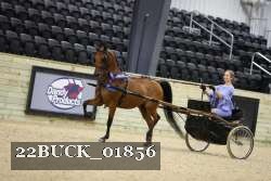 22BUCK_01856 proof